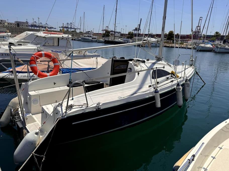 Marine Dream Valenza